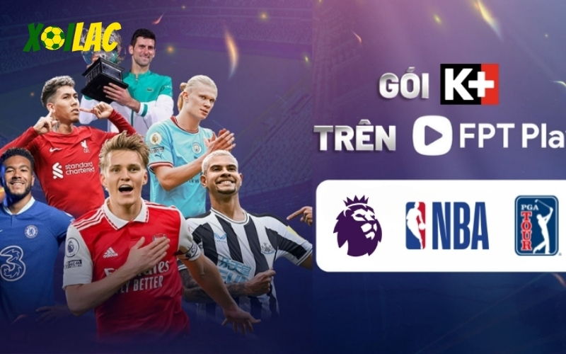 So Sánh Các Dịch Vụ Trực Tiếp Bóng Đá Trả Phí Hàng Đầu 2025