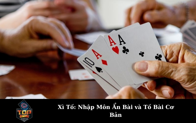 Xì Tố: Nhập Môn Ẩn Bài và Tố Bài Cơ Bản