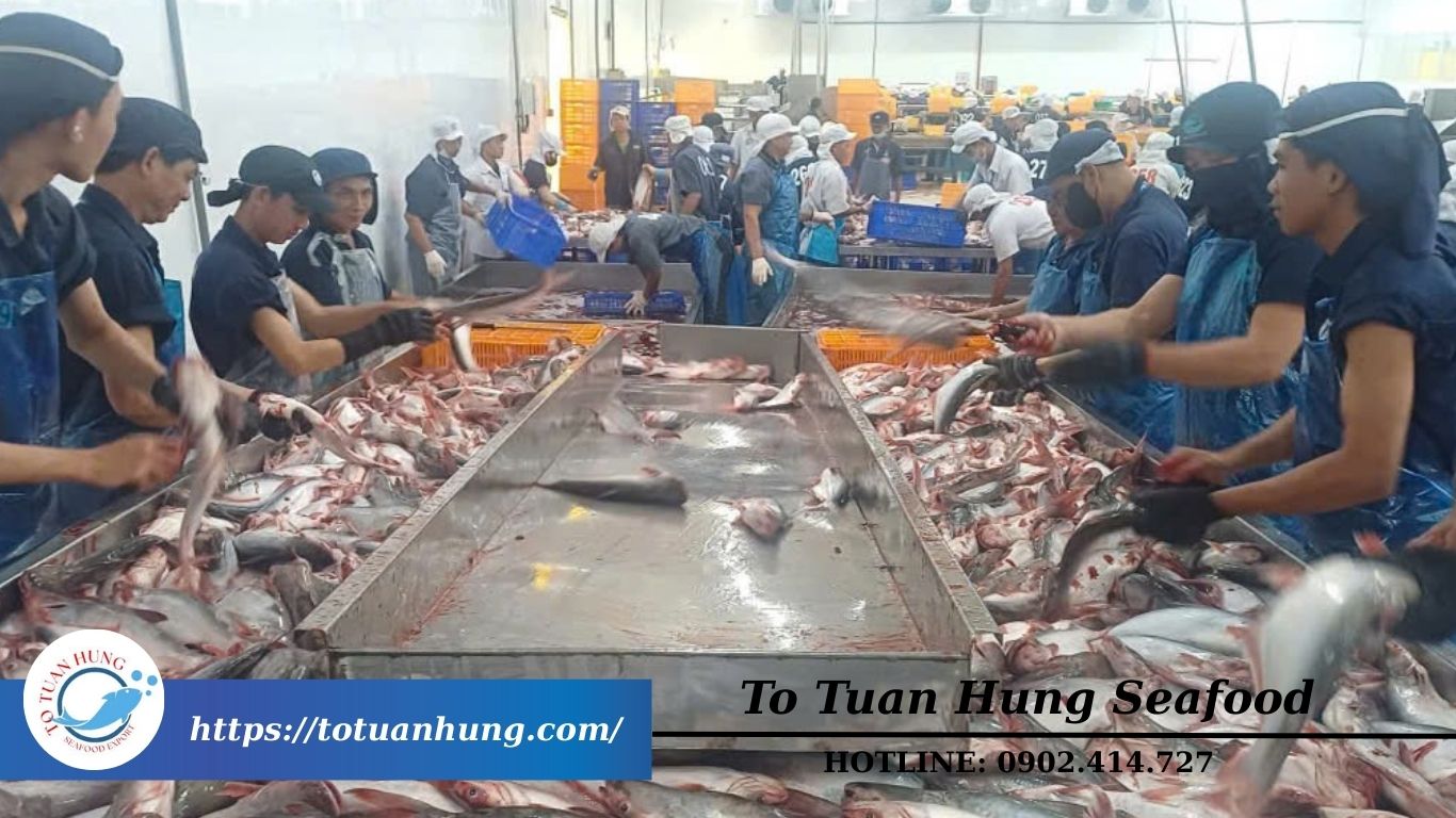 Bao tử cá ba sa đông lạnh