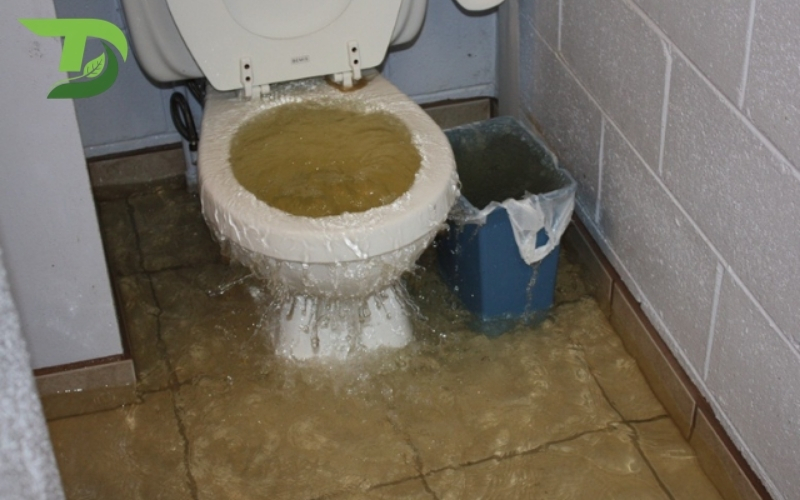 hút hầm cầu đất đỏ