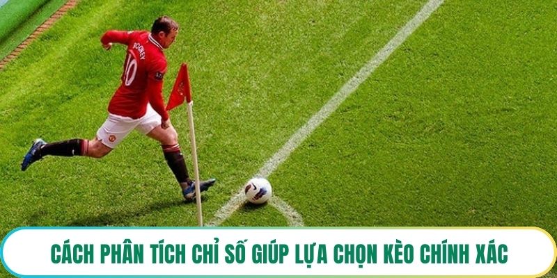 Cách phân tích chỉ số giúp lựa chọn kèo chính xác