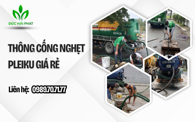 THÔNG THỐNG NGHẸT PLEIKU GIÁ RẺ